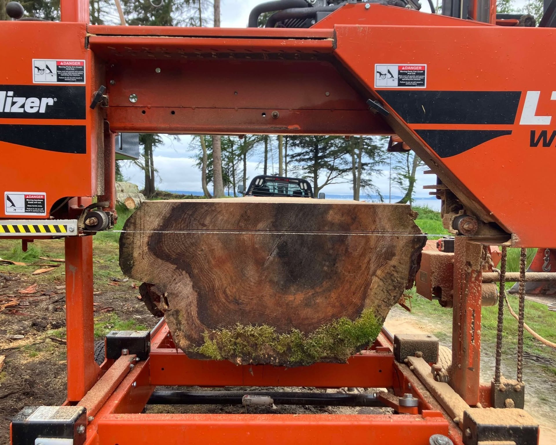 Fresh cut lumber